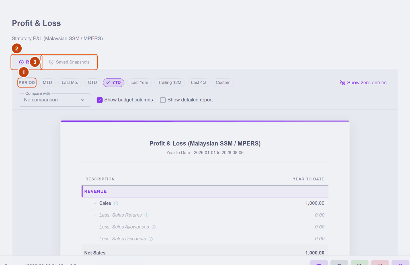 The Profit and Loss report showing sales, cost of sales, gross profit and net profit